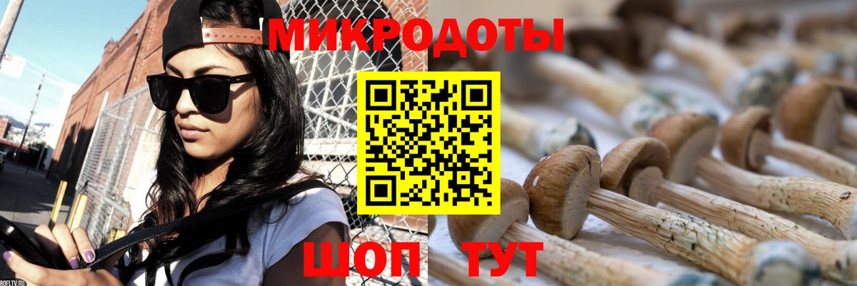 Галлюциногенные грибы мухоморы Реутов